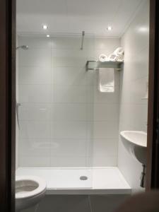 a bathroom with a shower with a toilet and a sink at Wapen van Exloo in Exloo +65 photos