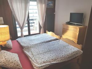 een slaapkamer met 2 bedden, een tv en een raam bij Appt 6-8 pers Torgon Portes du Soleil in Vionnaz