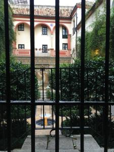 Zahrada ubytování Vidrio Apartment