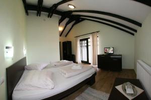 Afbeelding uit fotogalerij van Pensiunea Silba in Vad +28 foto's