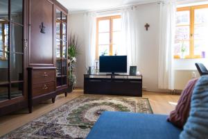 ein Wohnzimmer mit einem TV und einem Sofa in der Unterkunft Apartement 1 Große Brüdergasse in Bautzen