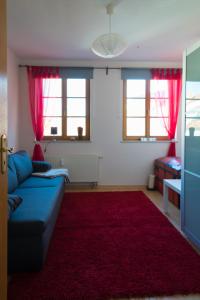 ein Wohnzimmer mit einem blauen Sofa und einem roten Teppich in der Unterkunft Apartement 1 Große Brüdergasse in Bautzen