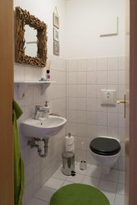 ein Badezimmer mit einem Waschbecken, einem WC und einem Spiegel in der Unterkunft Apartement 1 Große Brüdergasse in Bautzen