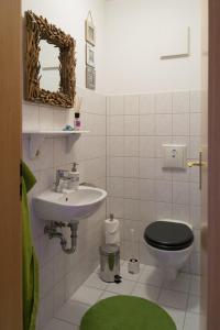 a bathroom with a sink and a toilet and a mirror at Apartement 1 Große Brüdergasse in Bautzen +8 photos