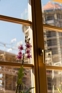 eine Vase mit lila Blumen im Fenster in der Unterkunft Apartement 1 Große Brüdergasse in Bautzen