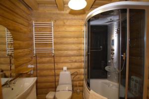 Un baño con inodoro, ducha y lavabo. en Marika, en Dragobrat