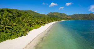 - une vue aérienne sur une plage bordée de palmiers dans l'établissement Bliss Hotel Praslin, à Grand'Anse