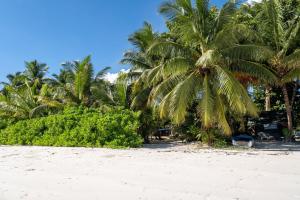Vrt pred nastanitvijo Bliss Hotel Praslin