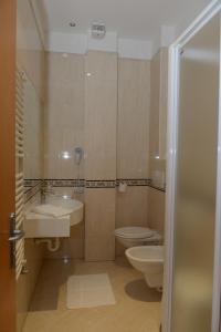 uma casa de banho com um lavatório, um WC e um chuveiro em Al Brenta em Levico Terme