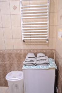 テルノーピリにあるApartment on Shevchenka Boulevardのバスルーム(トイレの上にタオルを1枚用意) +32枚の写真