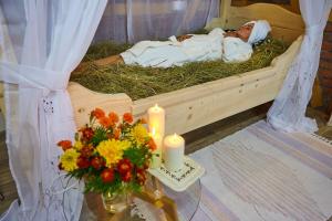 Gallery image of Guest House Milevkini Dvori in Soko Banja
