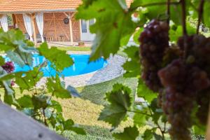 Gallery image of Guest House Milevkini Dvori in Soko Banja