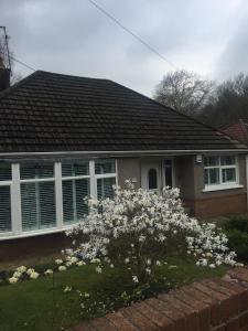 a house with white flowers in the front yard at Treetops in Newport