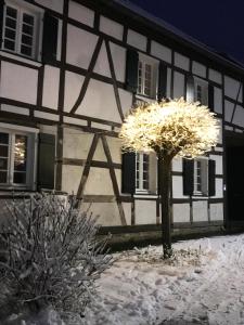 a tree in front of a building in the snow at Sonnige Fachwerkwohnung in Alfter