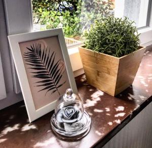a table with a picture and two potted plants on it at Ferienwohnung Lauer in Ellerstadt