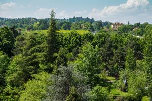 サン・ラッザロ・ディ・サーヴェナにあるResidenza Bellaria Park "Hills View"の木々の森の上景