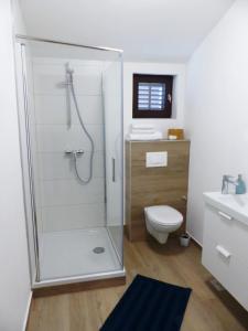 een badkamer met een douche en een toilet bij Apartmani Lavanda in Vrsi