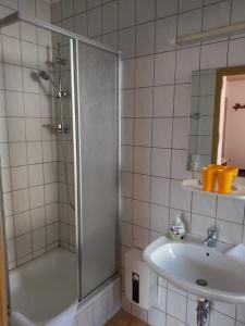 a bathroom with a shower and a sink at Spreewaldgasthaus Petkampsberg in Schlepzig