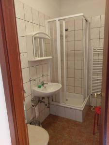 La salle de bains est pourvue d'un lavabo et d'une douche. dans l'établissement Spreewaldgasthaus Petkampsberg, à Schlepzig