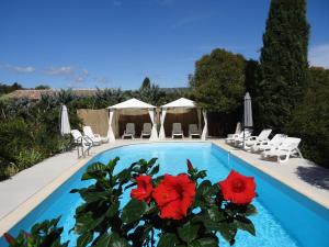 a swimming pool with red flowers in a resort at Le Moulin Des Ocres in Apt