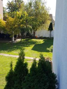 Zahrada ubytování Studio apartman Gradna