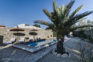a palm tree sitting next to a swimming pool at Dar Mayssoun in Ghazoua