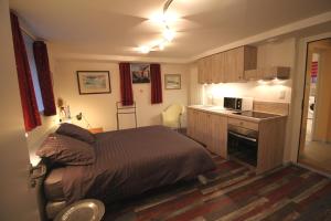 ein kleines Schlafzimmer mit einem Bett und einer Küche in der Unterkunft Confort et calme à Colmar in Colmar