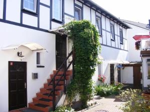 a white building with a black door and ivy at Pension Lachmöwe in Zinnowitz