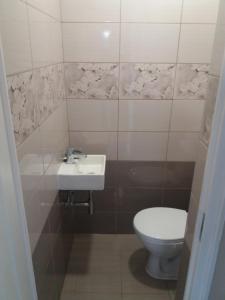 a bathroom with a toilet and a sink at Neptun apartman in Dömsöd