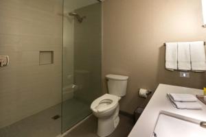 a bathroom with a toilet and a shower and a sink at Tioga Downs Casino and Resort in Nichols +30 photos