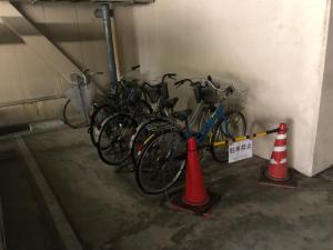 Jízda na kole v ubytování Hotel Hikari Hills nebo okolí