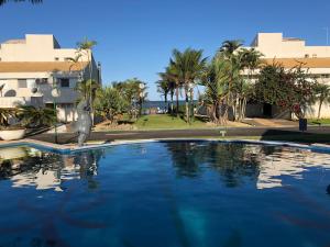a bird standing in the water in a swimming pool at Casa Beira Mar com 5 suites in Itapoa