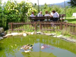 Příroda nedaleko bed and breakfast