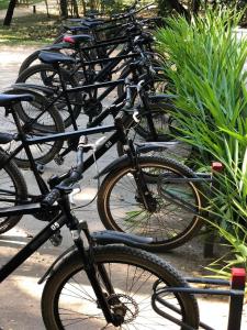 une rangée de vélos garés l'un à côté de l'autre dans l'établissement Jetwing Kaduruketha, à Wellawaya