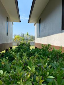 a hedge of plants in front of two buildings at The Hip Resort @ Khao Lak in Bang Sak
