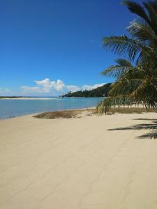 a sandy beach with palm trees and the ocean at Angkana Bungalows adults only in Thong Sala