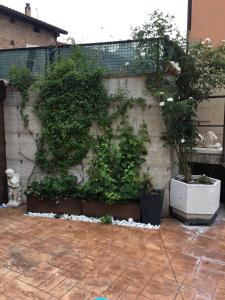 un jardín con plantas en macetas en la pared en Apartamento con jardin, en Ezcaray