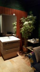 a bathroom with a sink and a potted plant at B&B Carpe Diem in Eijsden +29 photos