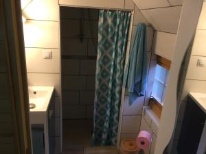 uma casa de banho com uma cortina de chuveiro e um lavatório em Alaguyauder le KOTA em Châtillon-sur-Broué