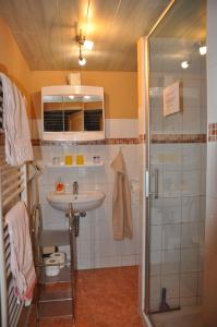 a bathroom with a sink and a shower at Ferienhaus Neubert in Wolkenstein