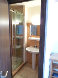 een badkamer met een glazen douche en een wastafel bij Le Relais des Ecrins in Saint-Christophe-en-Oisans