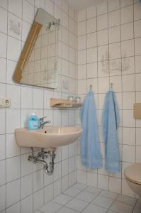 a bathroom with a sink and a mirror and a toilet at Ferienwohnung Neubert in Wolkenstein +10 photos