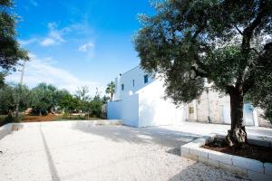 Fotografie z fotogalerie ubytování CASA 801 v destinaci Monopoli