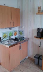 małą kuchnię ze zlewem i kuchenką w obiekcie Appartement Ferienwohnung Vogel w mieście Hilchenbach