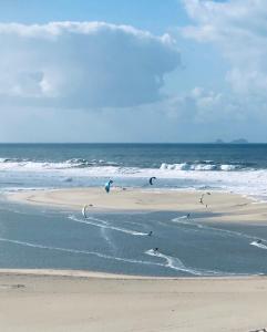 a group of birds flying over the beach at Apartamento - Casas dos Infantes in Caldas da Rainha