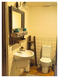 uma casa de banho com um lavatório, um WC e um espelho. em Tierstiftung Eulalia em Babięta