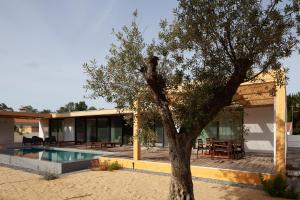 a house with a swimming pool and a tree at Casa das Pérgolas in Comporta