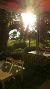 Zahrada ubytování Plaza Hotel