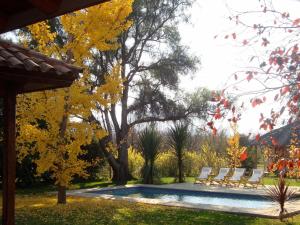 a swimming pool in a yard with chairs and a tree at Santa Filomena de Cunaco in Cunaco