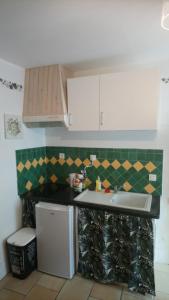 Camaret-sur-Aigues的住宿－studio cosy en PROVENCE，一间带水槽和冰箱的小厨房